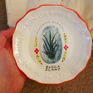 Small dessert plates, set of 2